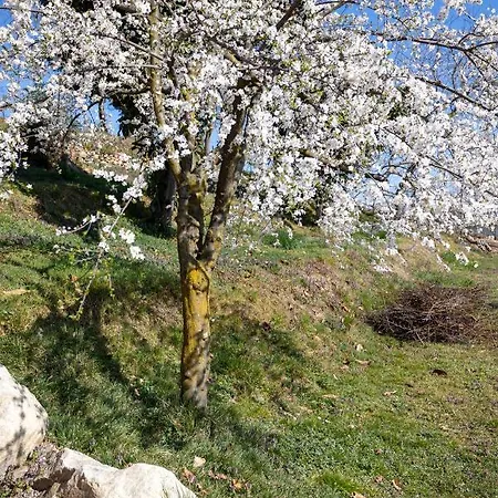Lejlighed Cascina Dei Ciliegi *